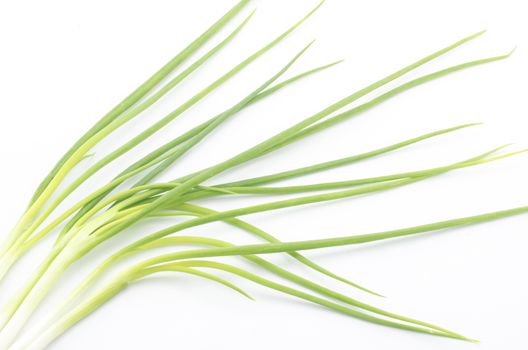 spring onion isolated on white background