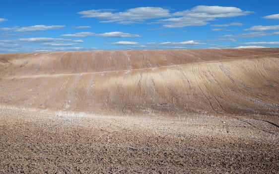 field with cloudy sky