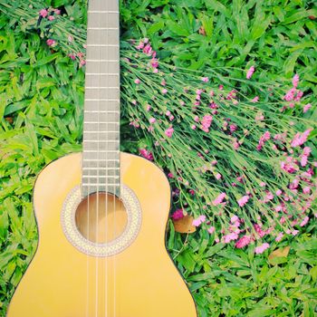 Ukulele guitar on green grass with flower