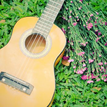 Ukulele guitar on green grass with flower