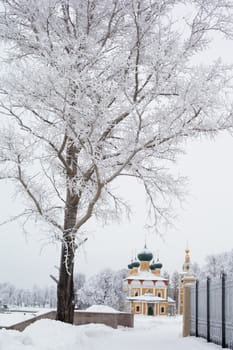 White trees and yellow church in winter in Uglich
