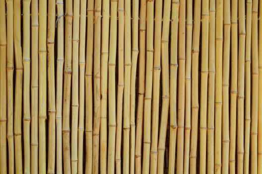 Background Texture Of A Bamboo Fence In The Tropics