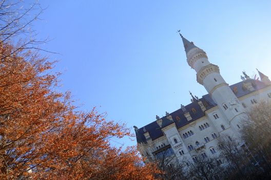 Neuschwanstein Castle, Germany In The Autumn With Copy Space