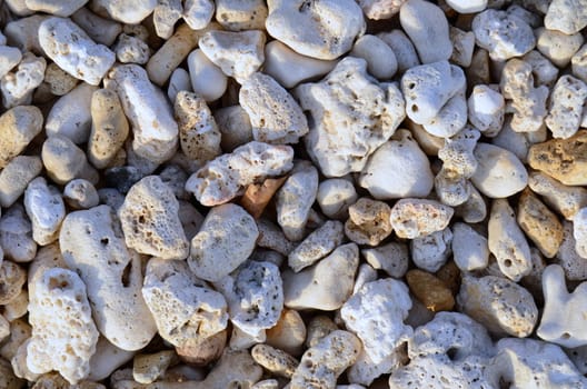 Abstract Background Texture Of Coral On A Tropical Beach