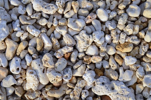 Abstract Background Texture Of Coral On A Tropical Beach