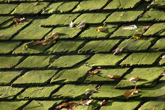 Background image of some old slate roof tiles