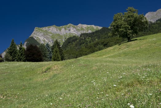 Mountain landscape in switzerland alps