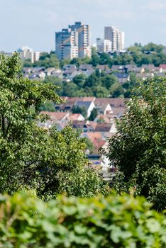 Vineyards in Stuttart - Bad Cannstatt: Very steep hills along river Neckar with the city in the background