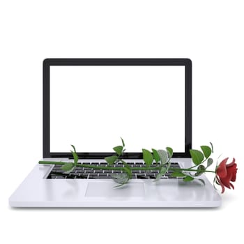Red rose on a laptop. Isolated render on a white background