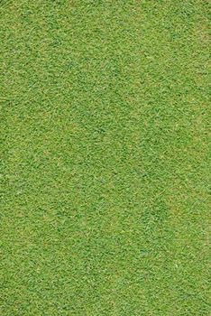 perfect grass background texture from a golf course