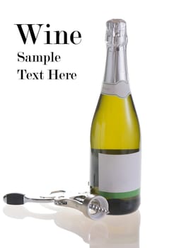 Sparkling White Wine bottle  with copy space