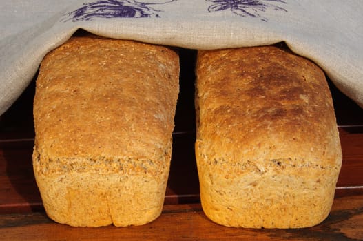 Two freshly baked bread under a tea towel