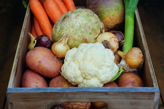Root vegetables in a box