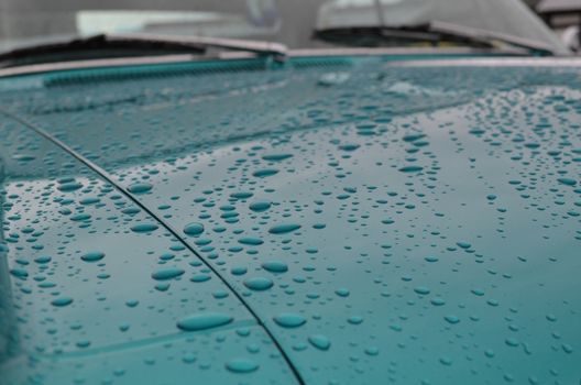 Rain drops beading on a waxed car.
