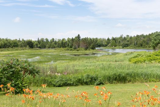 This image shows a vibrant watershed area near the northernmost coast of Maine.