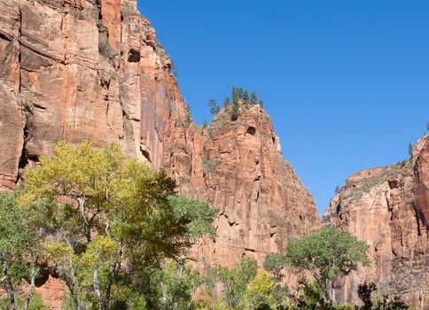 Heading towards the north end of Zion Canyon is a natural amphitheatre. The walls come close together to form the Zion Narrows.