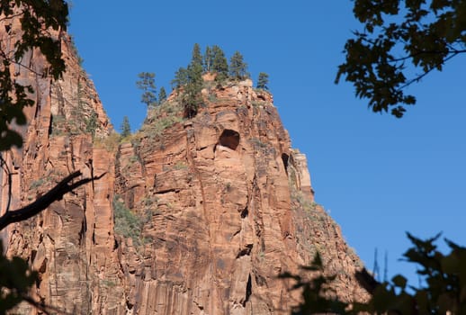 Due to the shadows and trees on this stone mountain at Zion Canyon, it appears to be calling out.