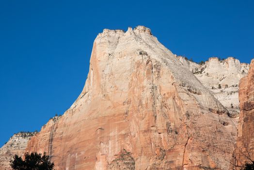 This large mountain of rock at Zion Nationa; Park looks like it was cut in half by a meat cleaver.