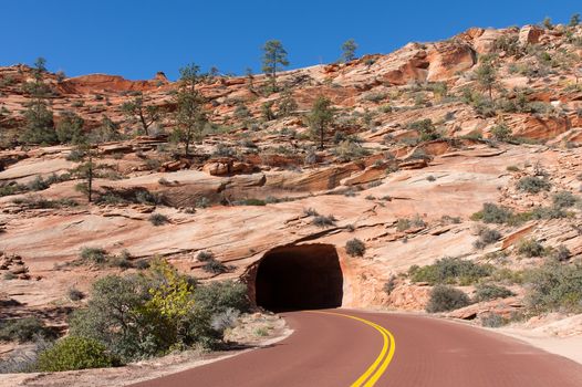 This is one of two tunnels on the drive to Zion Canyon from the East gate entrance.