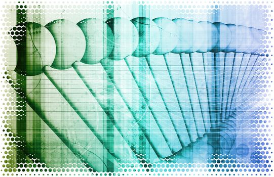 Biomedical Research or a Applied Medical Field