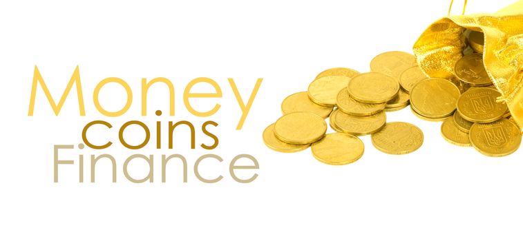 Money coins in golden bag isolated on white