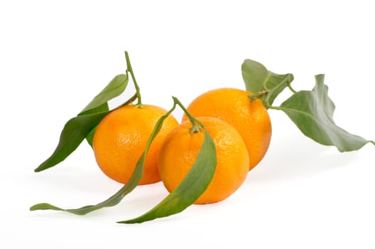 Tangerines with green leaves isolated on white