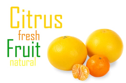 Citrus fruit on a white background