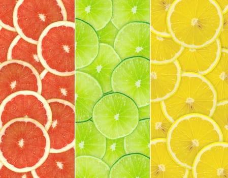 Abstract background of citrus slices. Closeup. Studio photography.