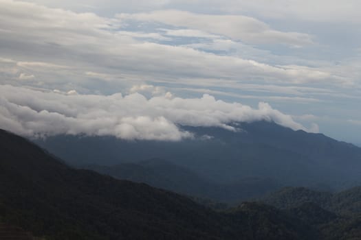 High Mountain with mist and cloud in Genting Highlands, Malaysia