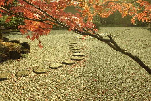 Japanese zen garden by autumn with red maple tree on foreground