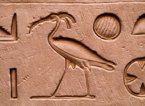 Hieroglyphs in Horus  temple in Edfou in upper egypt