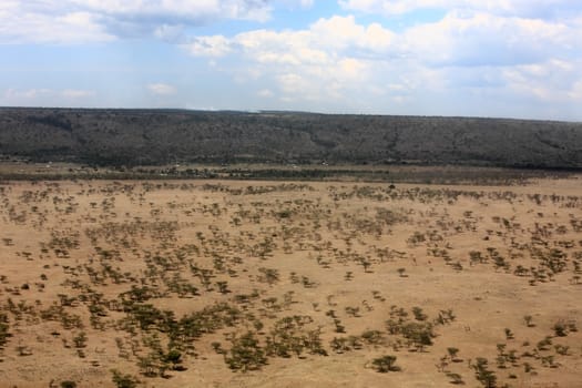 in the beautiful plains of the masai reserve in kenya africa