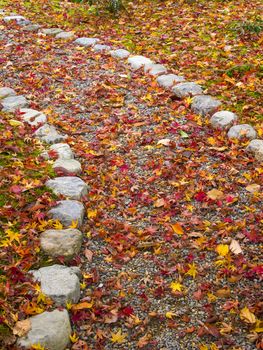 pathway in autumn
