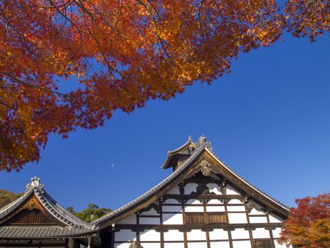 Main Hall of Tenryu-ji Temple in autumn, Arashiyama area, Kyoto, Japan