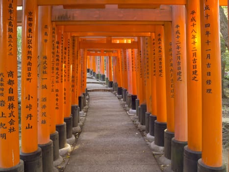 Pathway under tunnel of Torii gate at Fushimi Inari Shrine in Kyoto, Japan