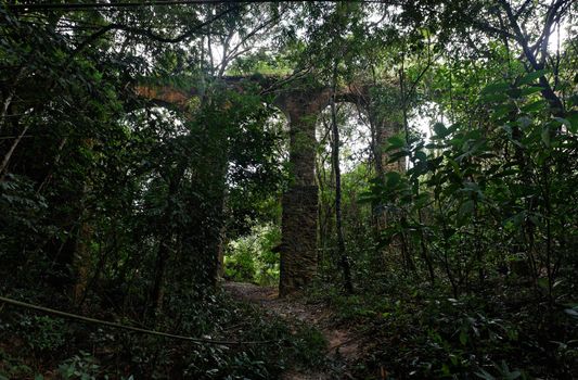 ancient aqueducts,surounding by the rain forest in the beautiful island of ilha grande near rio de janeiro in brazil
