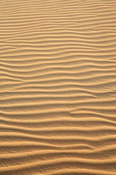 ripples of sand dune of cumbuco in ceara state brazil