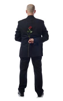 one caucasian backside man holding a rose flower portrait  in studio isolated white background 