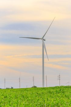 Wind Turbine Generator in the corn field before sunset.