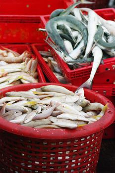 Sea fish in red basket waiting for weight at Sriracha, Thailand