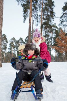 Cute three kids on sleds in snow forest. Focus on the boy