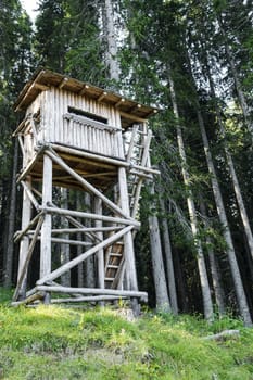 Bird watching tower in the forest, Trentino Alto Adige - Dolomiti