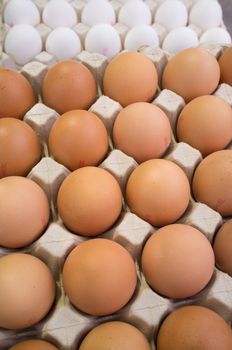 Full frame take of brown and white eggs in cartons