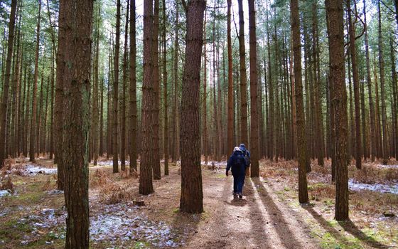 Walkers on a nature trail in Suffolk, England.