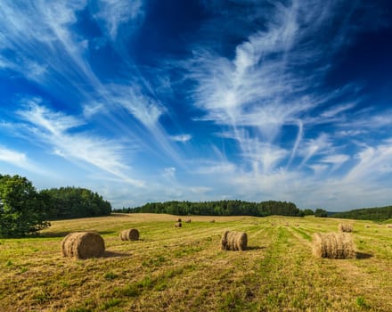 Agriculture background - Hay bales on field in summer