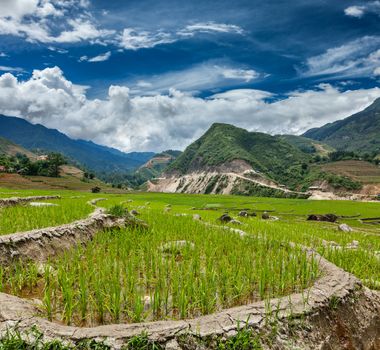 Rice field terraces (rice paddy). Near Cat Cat village, near Sapa, Vietnam