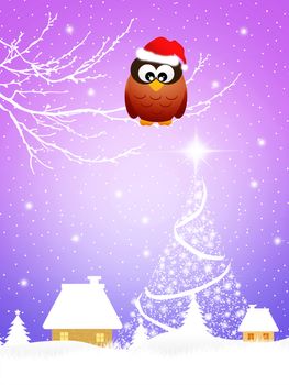 Owl with Christmas hat