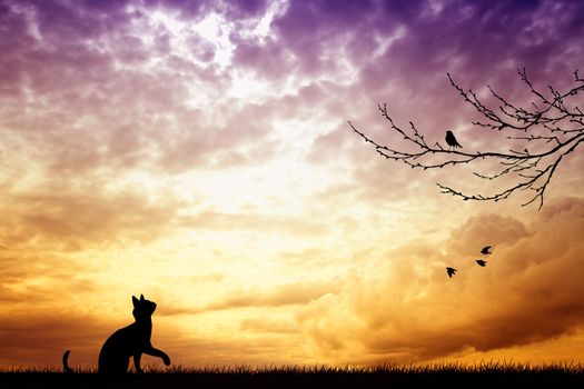 Cat and bird silhouette