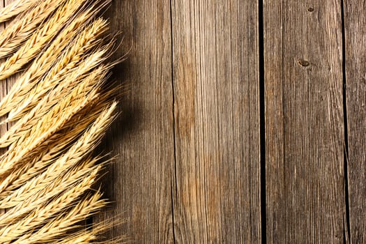 Rye spikelets on wooden background