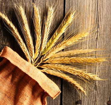 Rye spikelets on wooden background